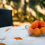 Διαμέρισμα Jezevac