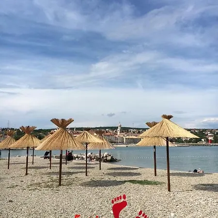 Jezevac * Krk Town